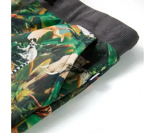 Laste Lühikesed Püksid Pingutusnööriga, Kirju, 104