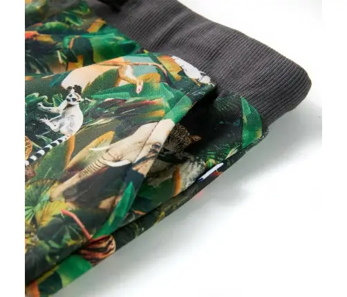 Laste Lühikesed Püksid Pingutusnööriga, Kirju, 116