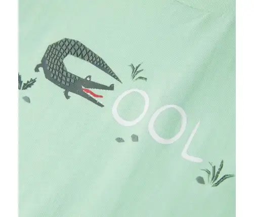 Vaikiški Marškinėliai Ilgomis Rankovėmis, Šviesiai Žali, 116 Dydžio