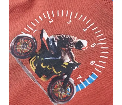 Vaikiški Marškinėliai Ilgomis Rankovėmis, Hena Spalvos, 104 Dydžio