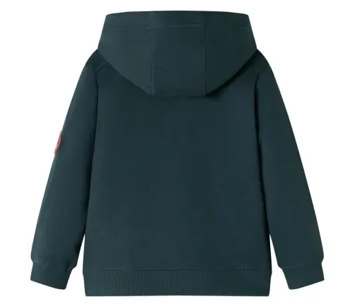 Vaikiškas Sportinis Megztinis Su Gobtuvu, Tamsiai Žalias, 140 Dydžio