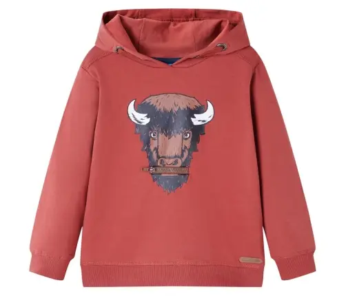 Vaikiškas Sportinis Megztinis Su Gobtuvu, Degintas Raudonas, 104