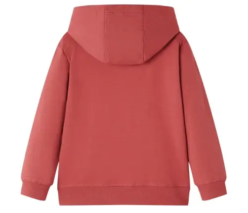 Vaikiškas Sportinis Megztinis Su Gobtuvu, Degintas Raudonas, 104