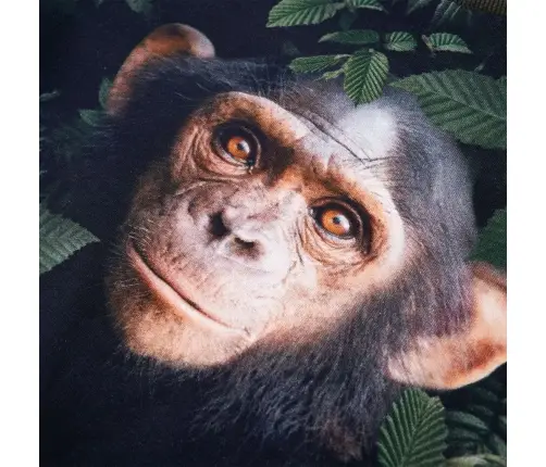 Bērnu Džemperis, Haki, 92