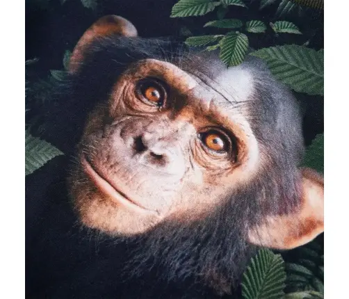 Laste Dressipluus, Khaki, 116