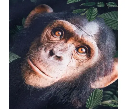 Bērnu Džemperis, Tumšs Haki, 92