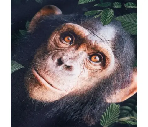 Bērnu Džemperis, Tumšs Haki, 104