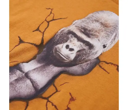 Pikkade Varrukatega Lastesärk, Tume Ooker, 104