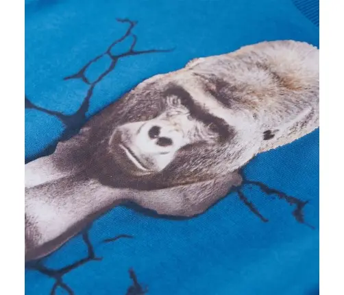 Bērnu Krekls Ar Garām Piedurknēm, Zils, 116