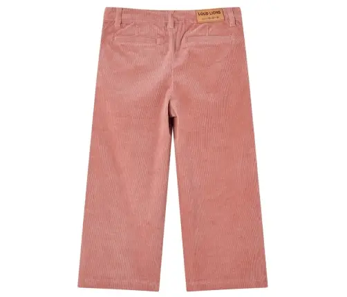 Bērnu Bikses, Vecrozā, Velvets, 92