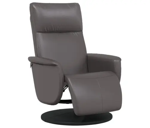 Tugitool Jalatoega, Hall, Kunstnahk