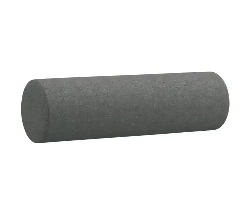 Dvivietė Sofa Su Pagalvėlėmis, Tamsiai Pilka, 120cm Audinys