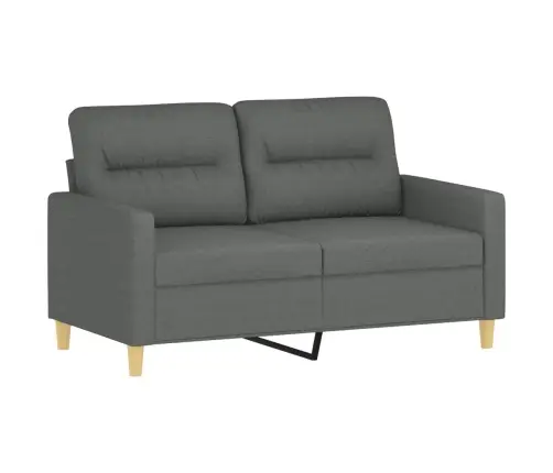 Divvietīgs Dīvāns Ar Spilveniem, Tumši Pelēks, 120 Cm, Audums Vidaxl