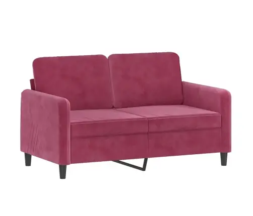 Dvivietė Sofa Su Pagalvėlėmis, Raudonojo Vyno, 120cm Aksomas