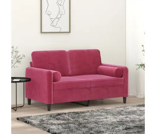 Dvivietė Sofa Su Pagalvėlėmis, Raudonojo Vyno, 120cm Aksomas
