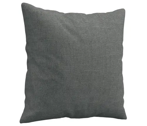 Divvietīgs Dīvāns Ar Spilveniem, Tumši Pelēks, 120 Cm, Audums Vidaxl