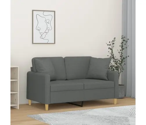 Divvietīgs Dīvāns Ar Spilveniem, Tumši Pelēks, 120 Cm, Audums Vidaxl