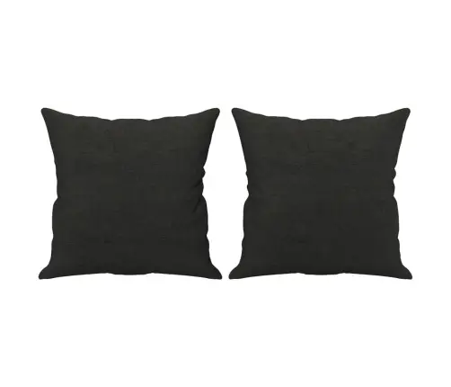Dvivietė Sofa Su Pagalvėlėmis, Juodos Spalvos, 120cm Audinys