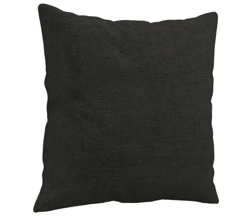 Dvivietė Sofa Su Pagalvėlėmis, Juodos Spalvos, 120cm Audinys