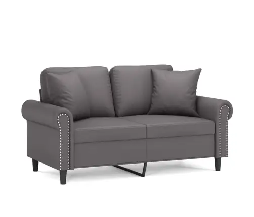 2-Kohaline Diivan Patjadega, Hall, 120 cm Kunstnahk