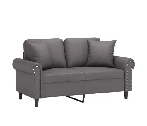 2-Kohaline Diivan Patjadega, Hall, 120 cm Kunstnahk