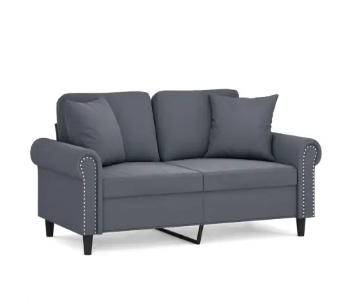 Dvivietė Sofa Su Pagalvėlėmis, Tamsiai Pilka, 120cm Aksomas