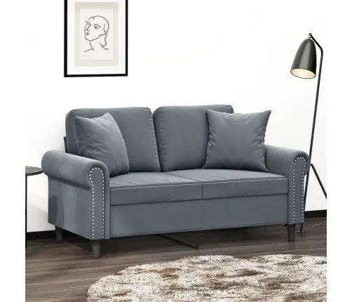 Dvivietė Sofa Su Pagalvėlėmis, Tamsiai Pilka, 120cm Aksomas