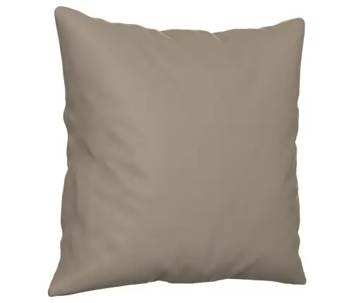 Dvivietė Sofa Su Pagalvėmis, Taupe, 120cm Mikropluošto Audinys