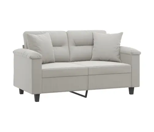 Divvietīgs Dīvāns Ar Spilveniem, Gaiši Pelēks, 120 Cm, Audums Vidaxl