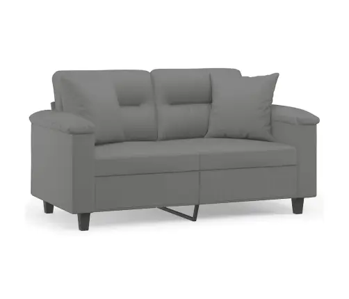 Divvietīgs Dīvāns Ar Spilveniem, Tumši Pelēks, 120 Cm, Audums Vidaxl