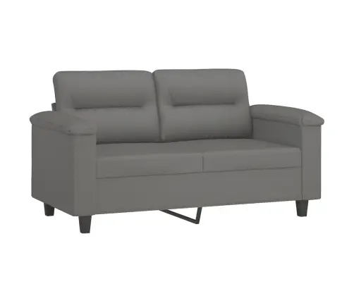 Divvietīgs Dīvāns Ar Spilveniem, Tumši Pelēks, 120 Cm, Audums Vidaxl