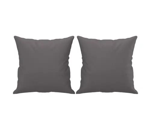 Dvivietė Sofa Su Pagalvėlėmis, Pilka, 120cm Dirbtinė Oda