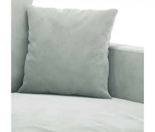 Sofos Komplektas Su Pagalvėlėmis, 2 Dalių, Pilkas, Aksomas