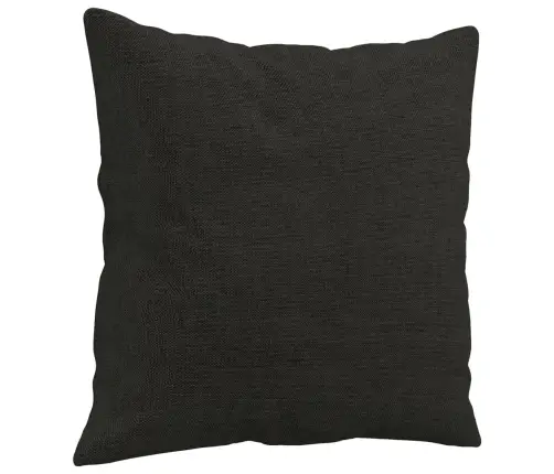 Sofos Komplektas Su Pagalvėmis, 3 Dalių, Juodas, Audinys