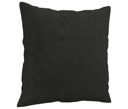 2-Osaline Diivanikomplekt Patjadega, Must, Kangas