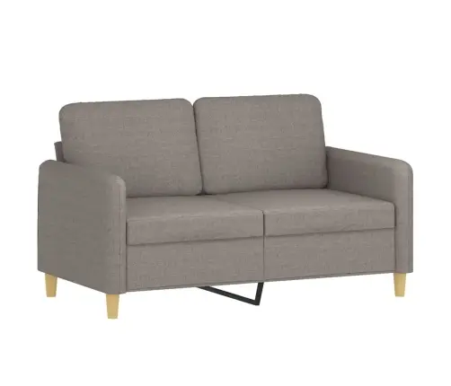 Sofos Komplektas Su Pagalvėmis, 2 Dalių, Taupe, Audinys