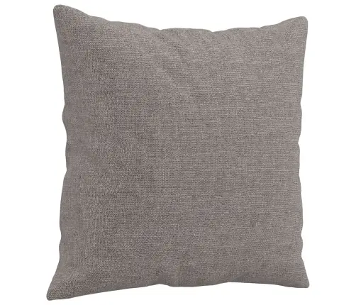 Sofos Komplektas Su Pagalvėmis, 2 Dalių, Taupe, Audinys