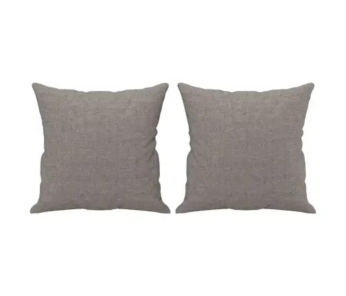 Sofos Komplektas Su Pagalvėmis, 2 Dalių, Taupe, Audinys