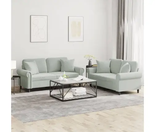 2-Osaline Diivanikomplekt Patjadega, Helehall, Samet