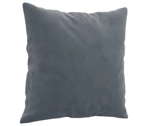 Divdaļīgs Dīvānu Komplekts Ar Spilveniem, Tumši Pelēks Samts Vidaxl