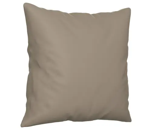 Sofos Komplektas Su Pagalvėmis, 2 Dalių, Taupe, Audinys