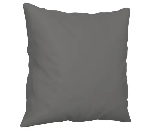 Sofos Komplektas Su Pagalvėmis, 2 Dalių, Pilkas, Audinys