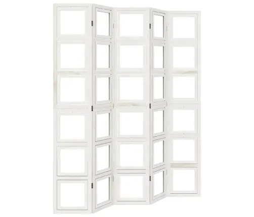 Kambario Pertvara, 5 Segmentai, Balta, Paulovnijos Masyvas