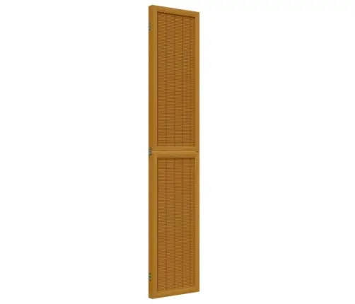 Kambario Pertvara, 3 Segmentai, Ruda, Paulovnijos Masyvas