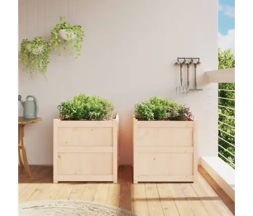 Aia Taimekastid 2 Tk, Männipuit