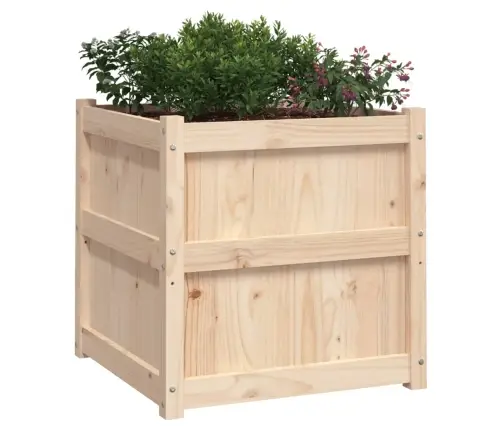 Aia Taimekastid 2 Tk, Männipuit