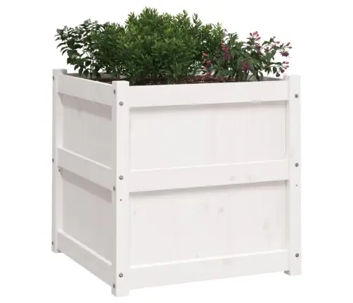 Dārza Puķu Kaste, Balta, 60X60X60 Cm, Priedes Masīvkoks Vidaxl