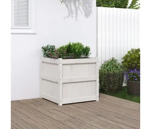 Dārza Puķu Kaste, Balta, 60X60X60 Cm, Priedes Masīvkoks Vidaxl