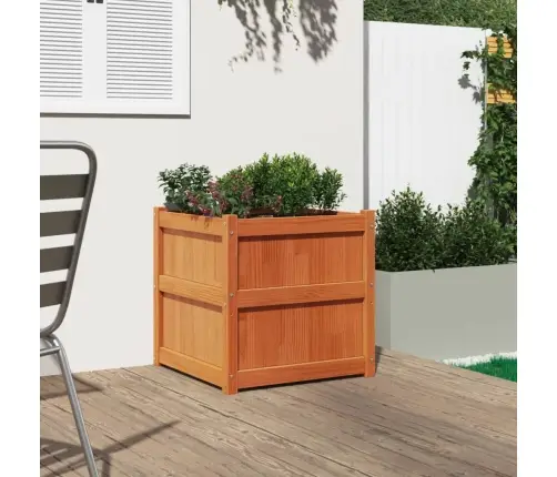 Aia Taimekast, Vahapruun, 60 X 60 X 60 cm Männipuit