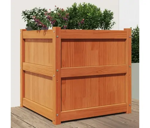 Aia Taimekast, Vahapruun, 60 X 60 X 60 cm Männipuit